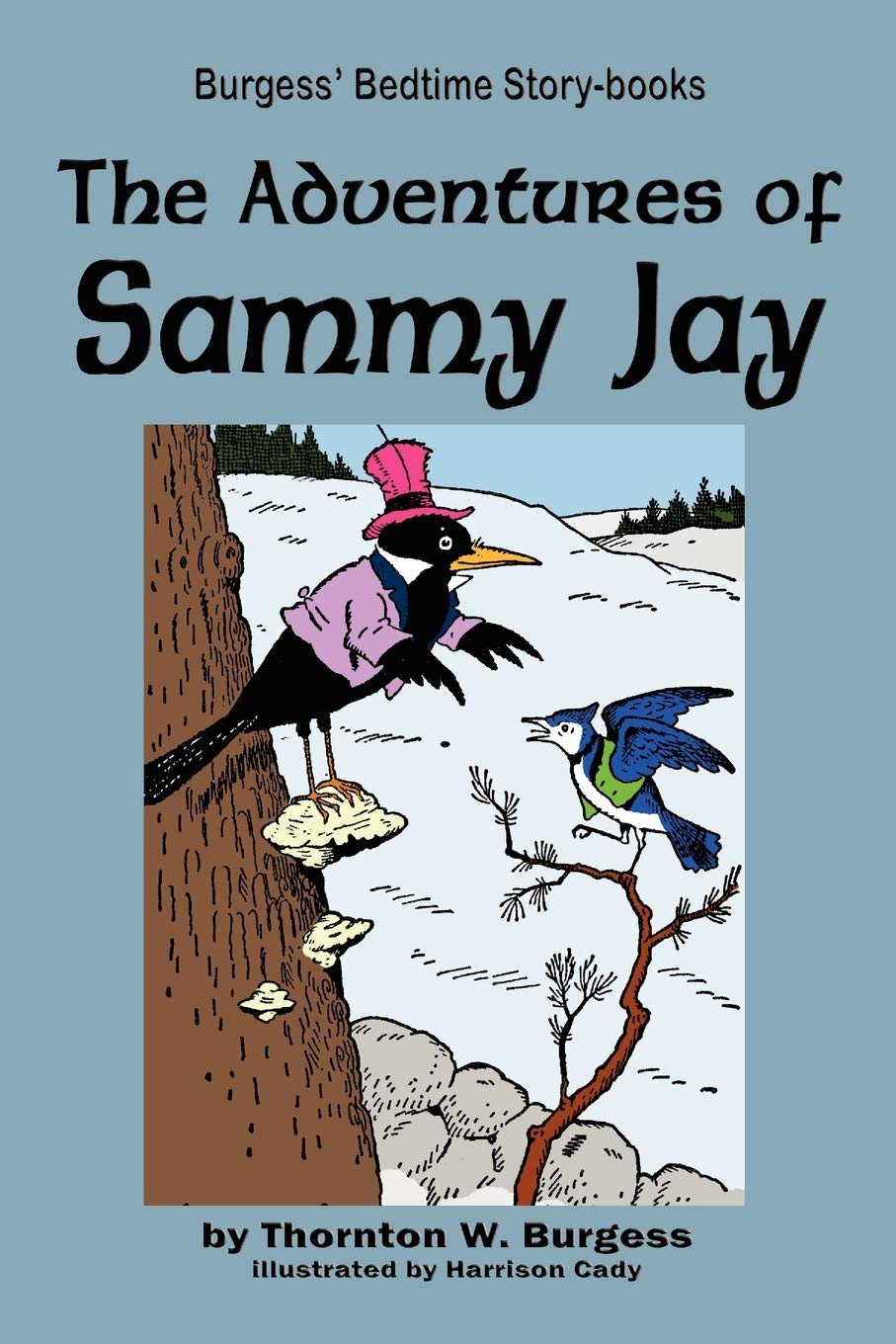 The Adventures of Sammy Jay,Used