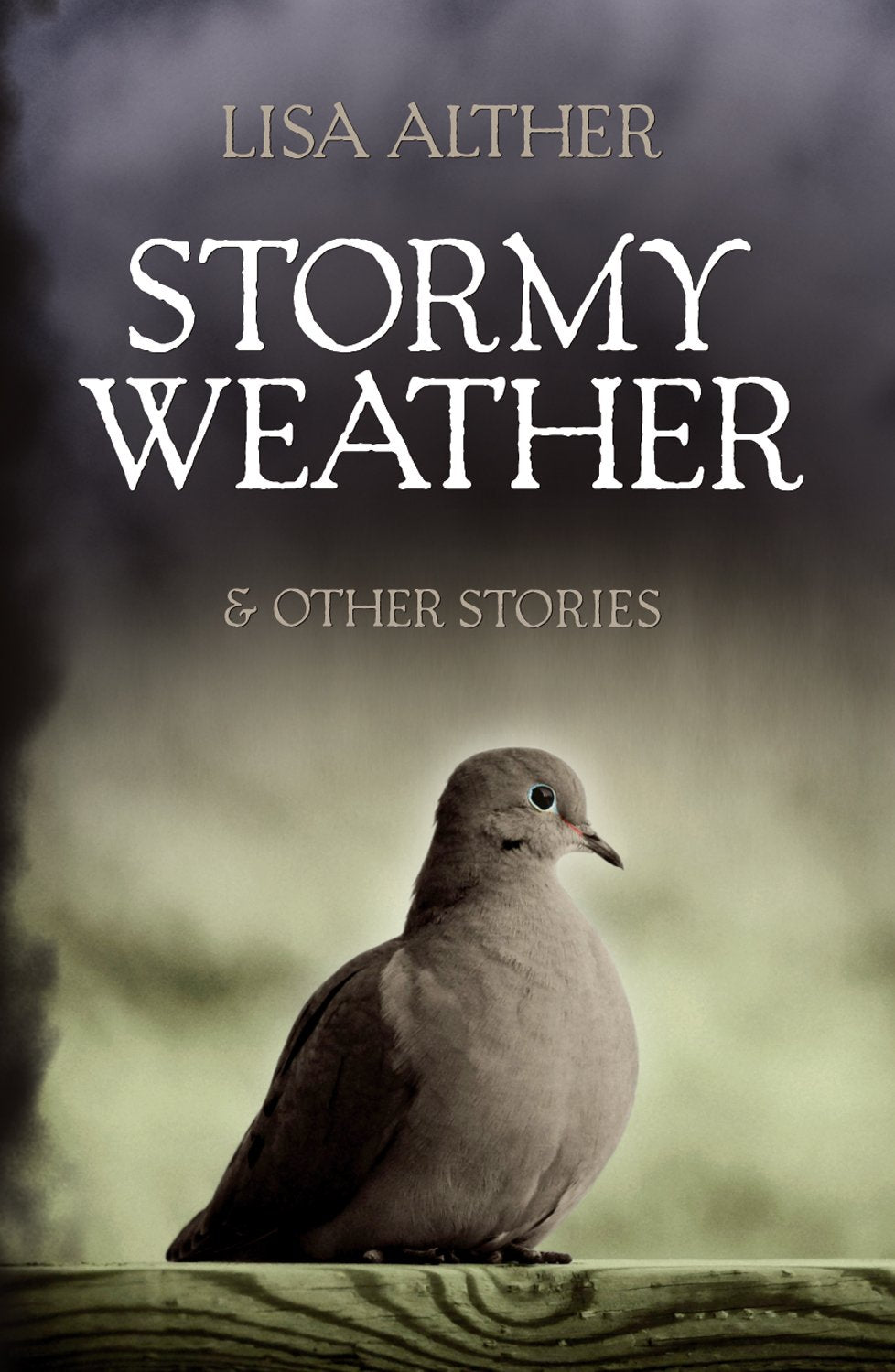 Stormy Weather & Other Stories,Used