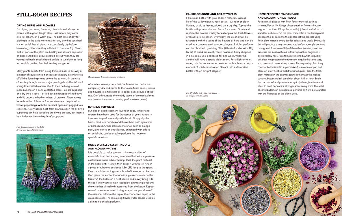 Essential Aromatherapy Garden: Growing and Using Scented Plants and Herbs,Used