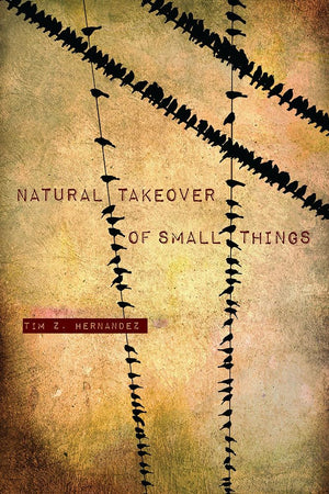 Natural Takeover Of Small Things (Camino Del Sol),Used