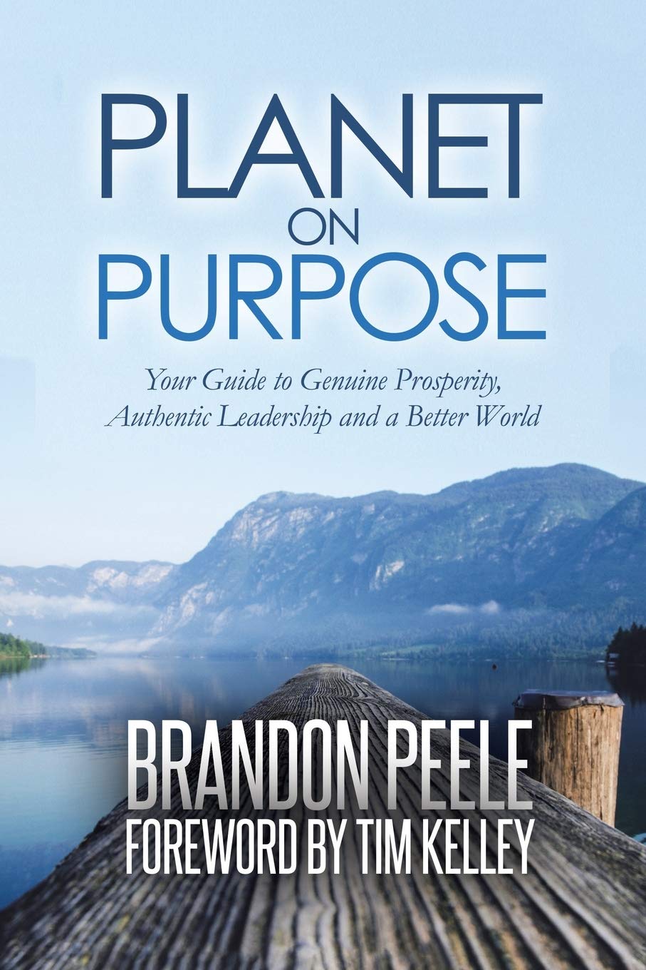 Planet on Purpose: Your Guide to Genuine Prosperity, Authentic Leadership and A Better World,Used