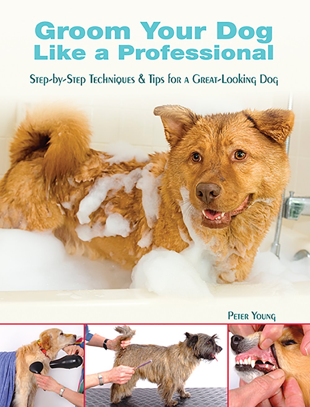 Groom Your Dog Like a Professional: StepByStep Techniques and Tips for a Great Looking Dog,Used