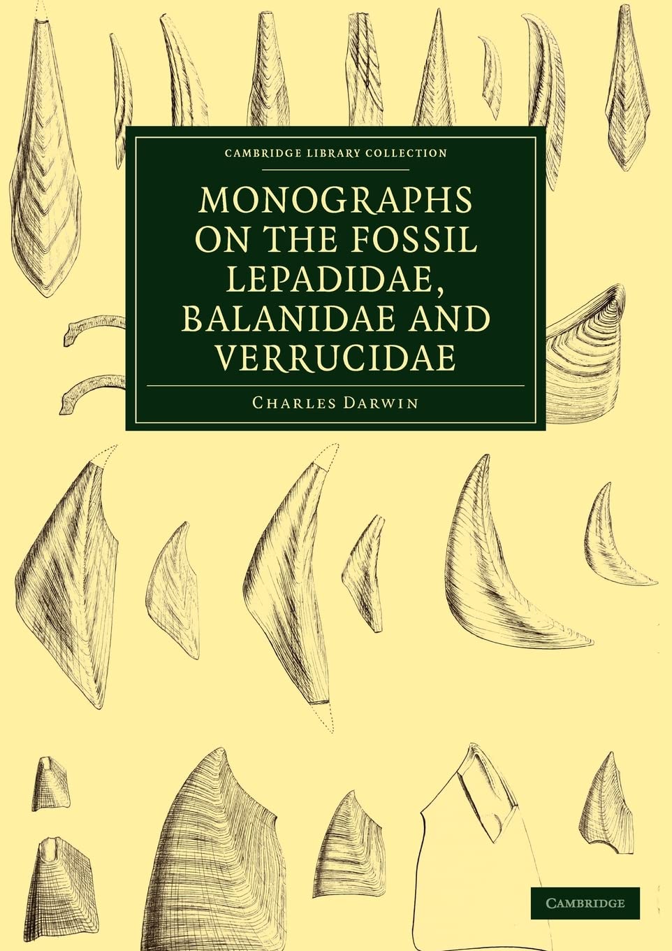 Monographs on the Fossil Lepadidae, Balanidae and Verrucidae (Cambridge Library Collection  Monographs of the Palaeontographica,Used