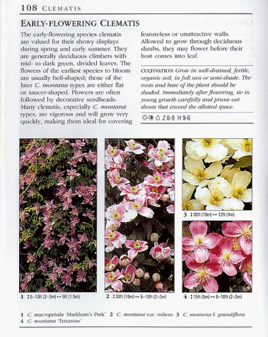 American Horticultural Society Great Plant Guide,Used