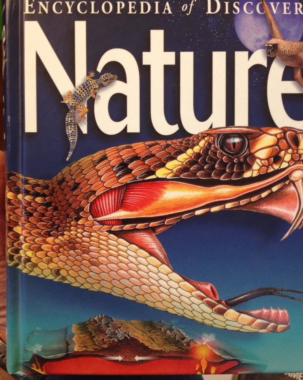 Encyclopedia Of Discovery: Nature,Used
