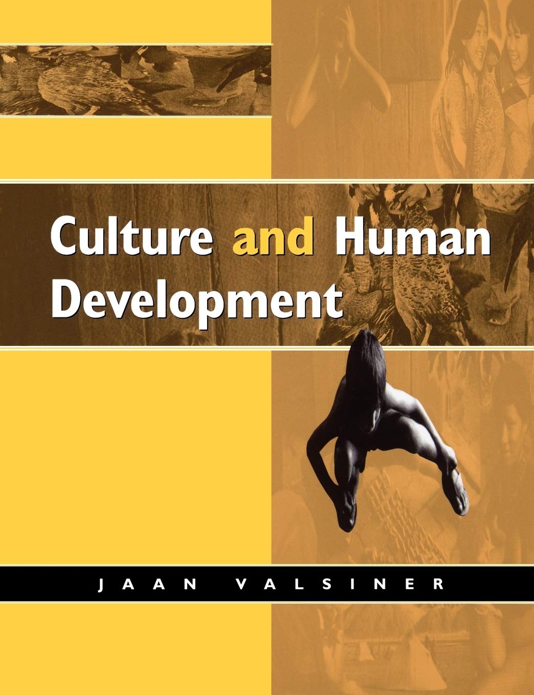 Culture and Human Development,Used