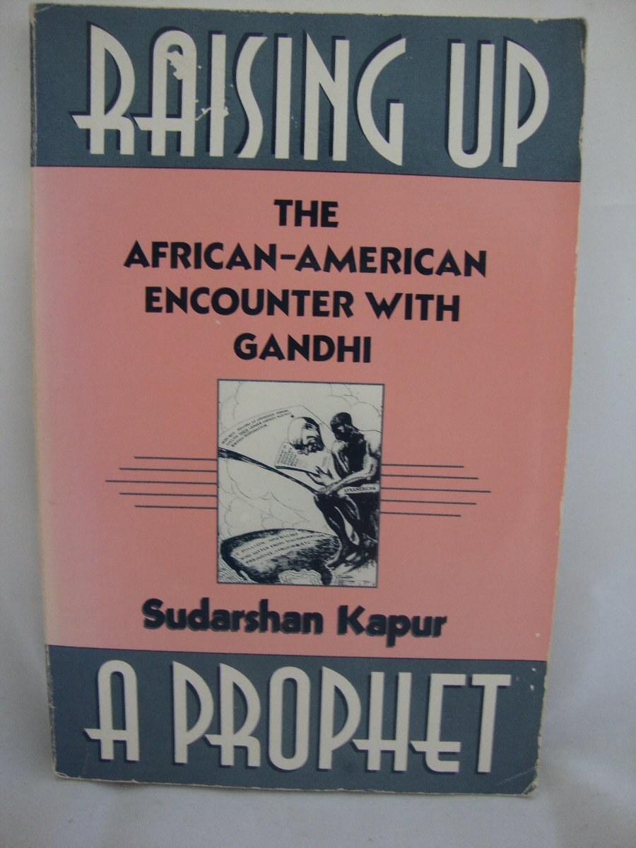 Raising Up A Prophet: The AfricanAmerican Encounter With Gandhi,Used