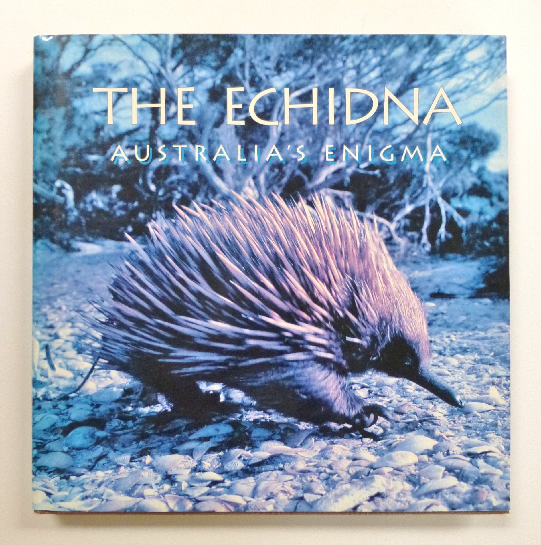 Echidna,Used