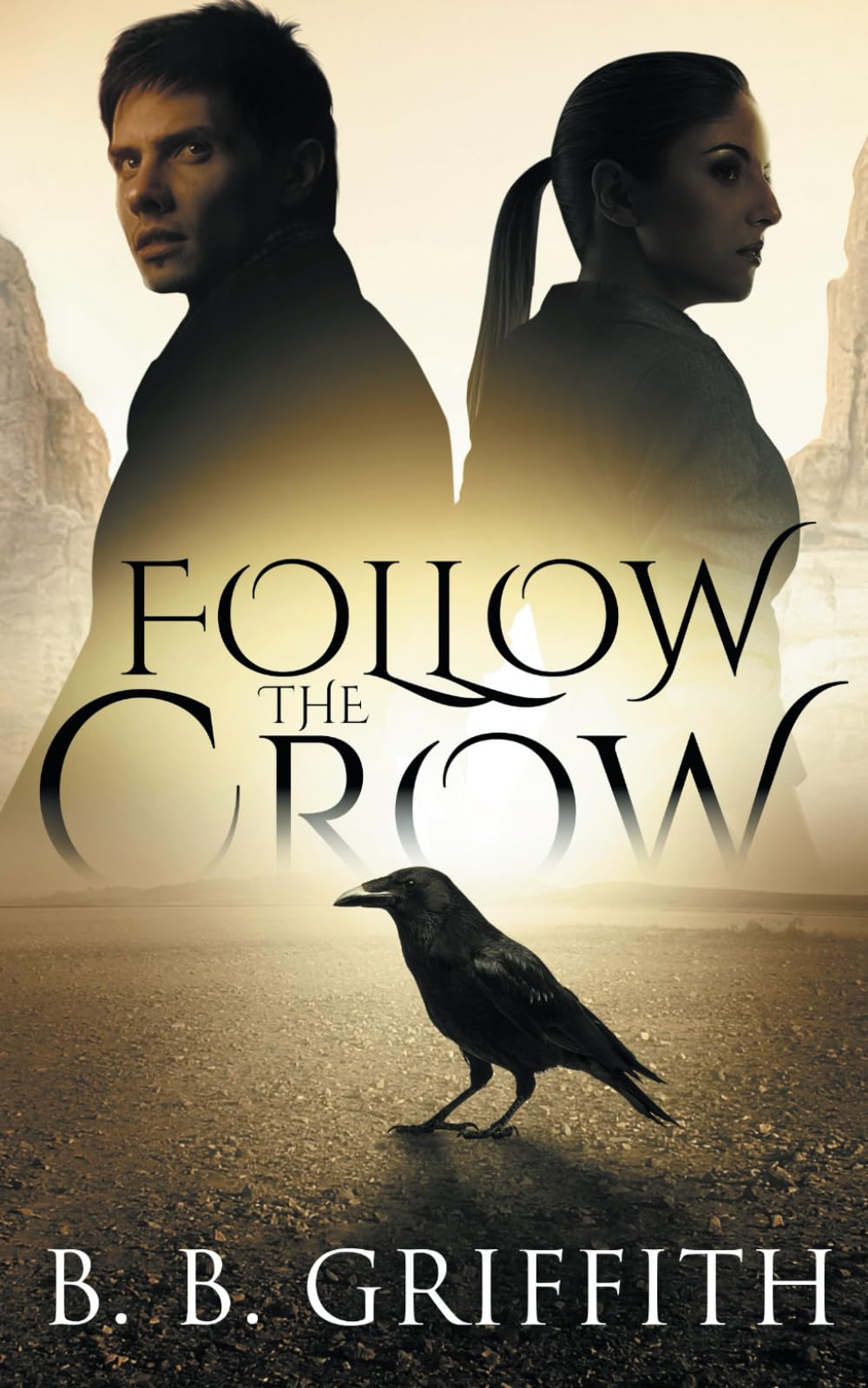 Follow the Crow (Vanished, #1),Used