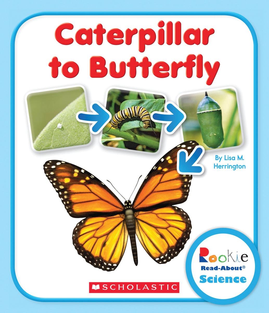 Caterpillar to Butterfly (Rookie ReadAbout Science: Life Cycles),Used