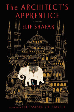 The Architect'S Apprentice: A Novel