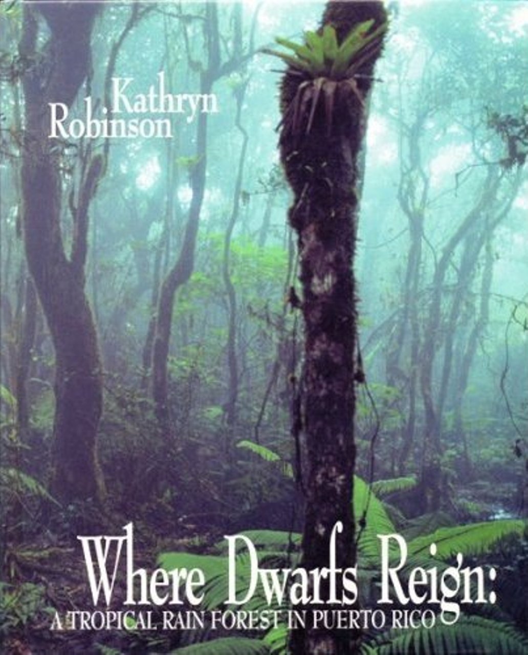Where Dwarfs Reign: A Tropical Rain Forest In Puerto Rico