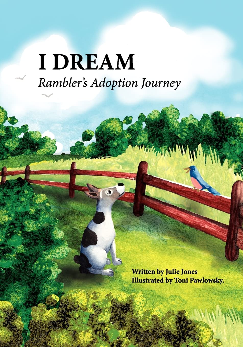 I Dream: Rambler's Adoption Journey,Used