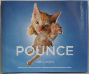 Pounce
