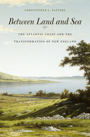 Between Land And Sea: The Atlantic Coast And The Transformation Of New England,Used