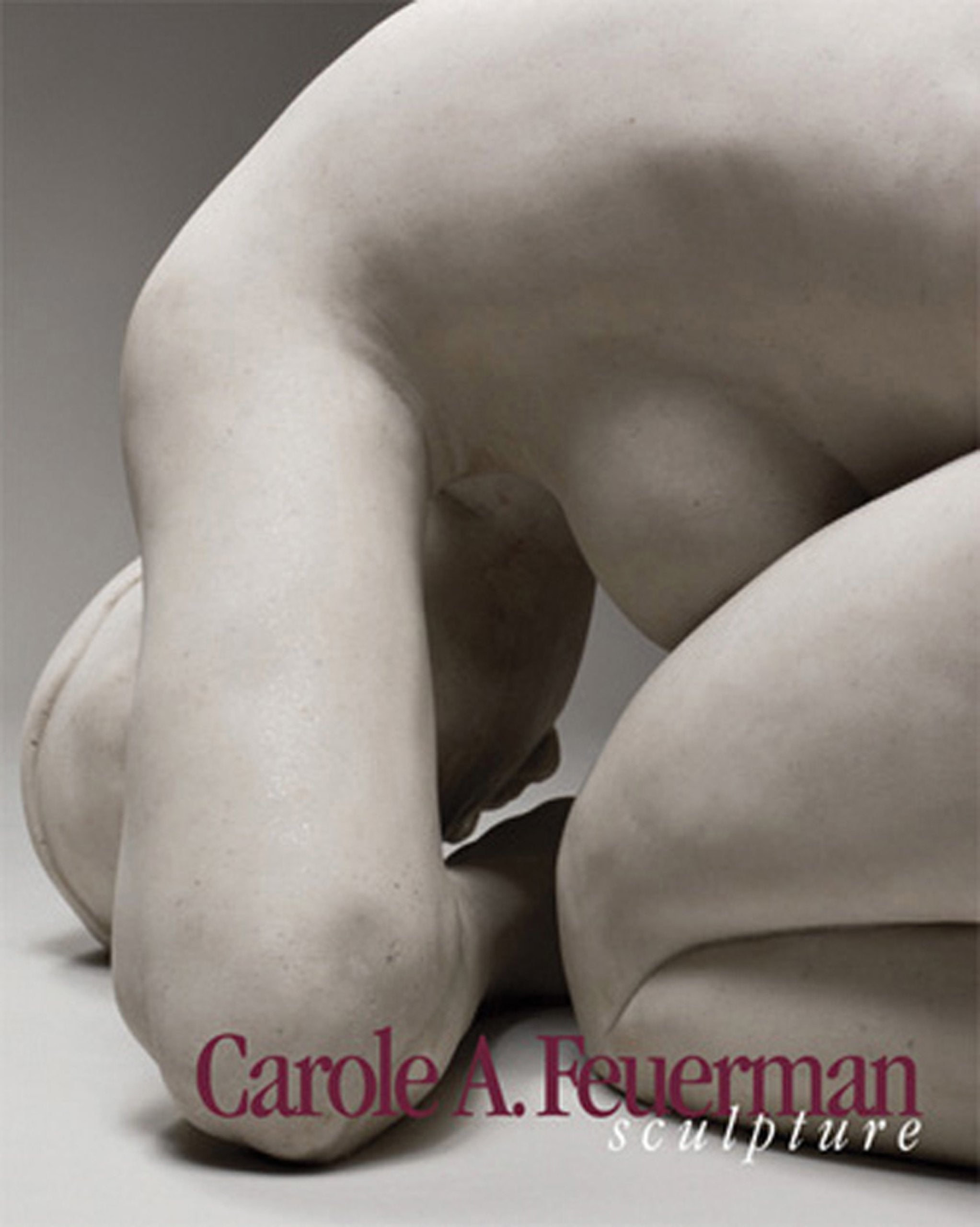 Carol A. Feuerman,Used