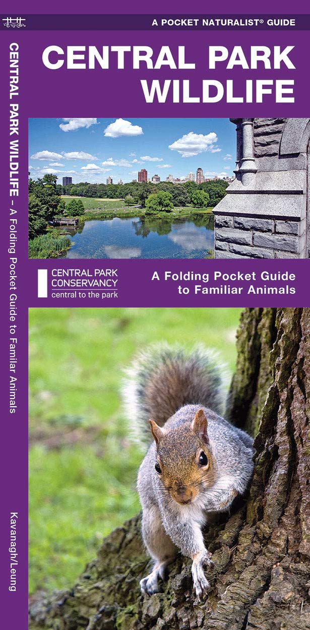 Central Park Wildlife: A Folding Pocket Guide To Familiar Animals (Wildlife And Nature Identification),Used
