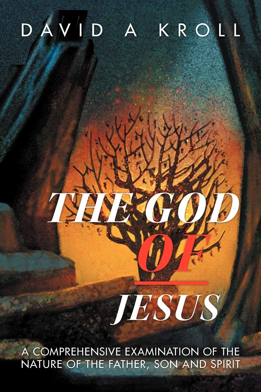 The God Of Jesus: A Comprehensive Examination Of The Nature Of The Father, Son And Spirit,Used