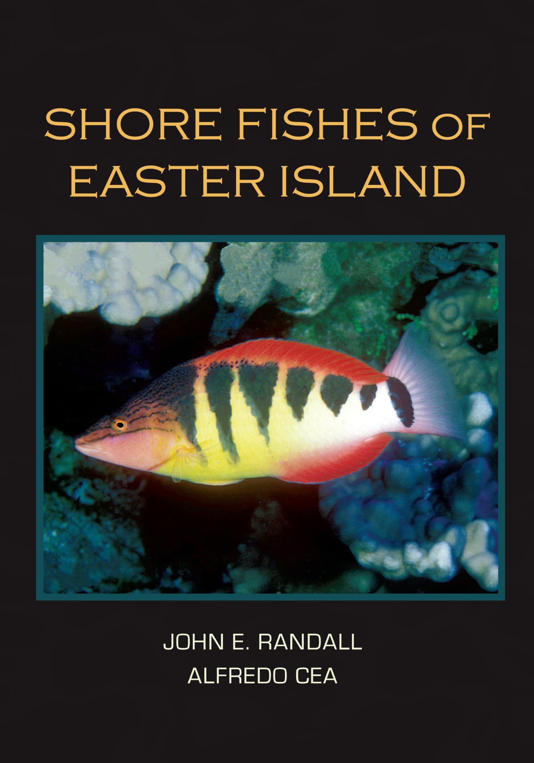 Shore Fishes of Easter Island,New