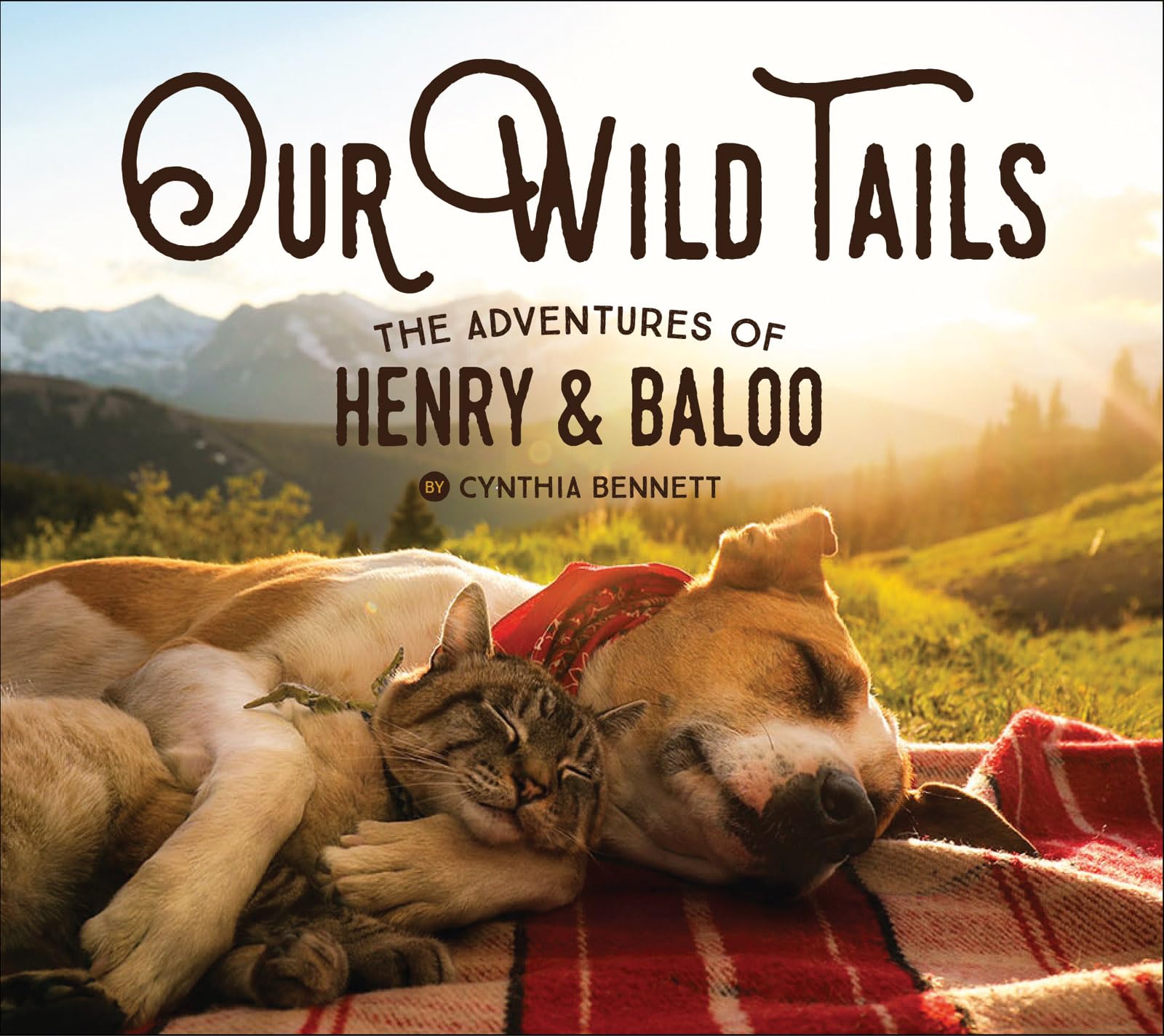 Our Wild Tails: The Adventures of Henry & Baloo,Used