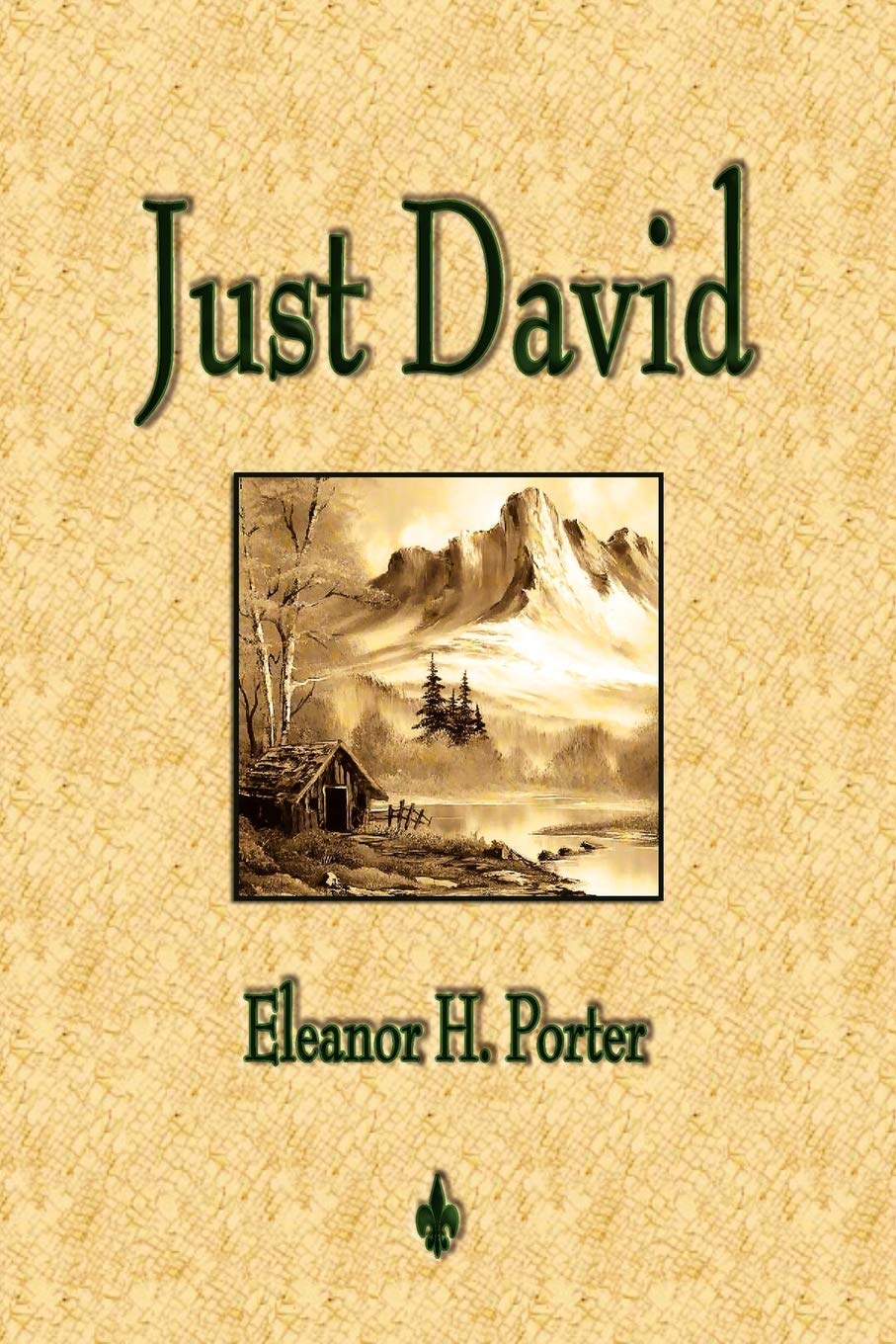 Just David,Used