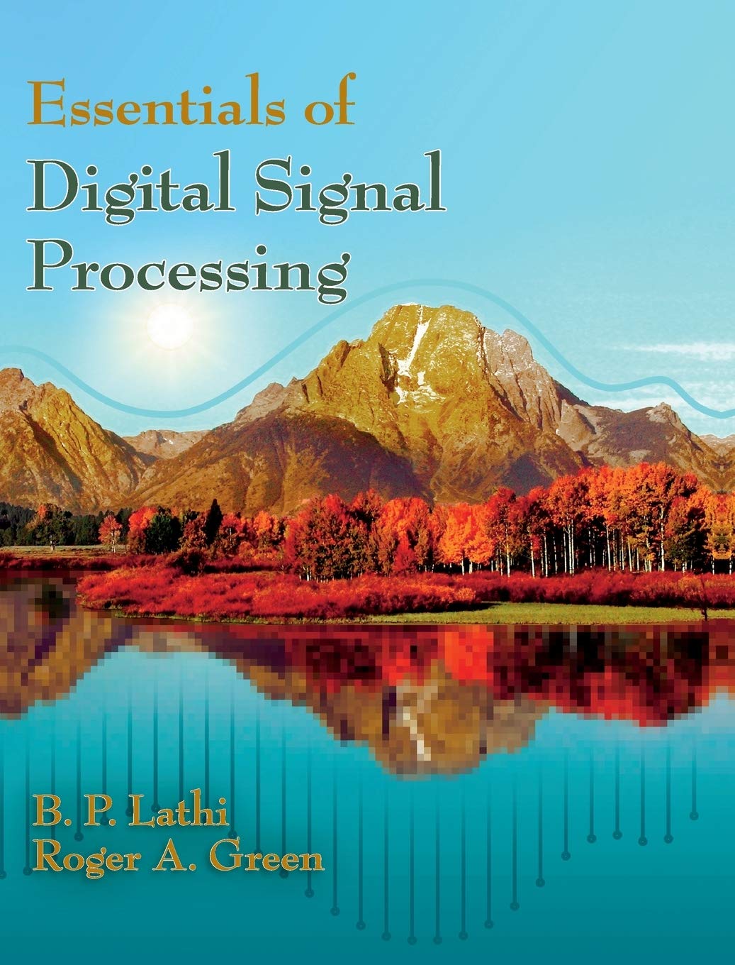 Essentials of Digital Signal Processing,Used