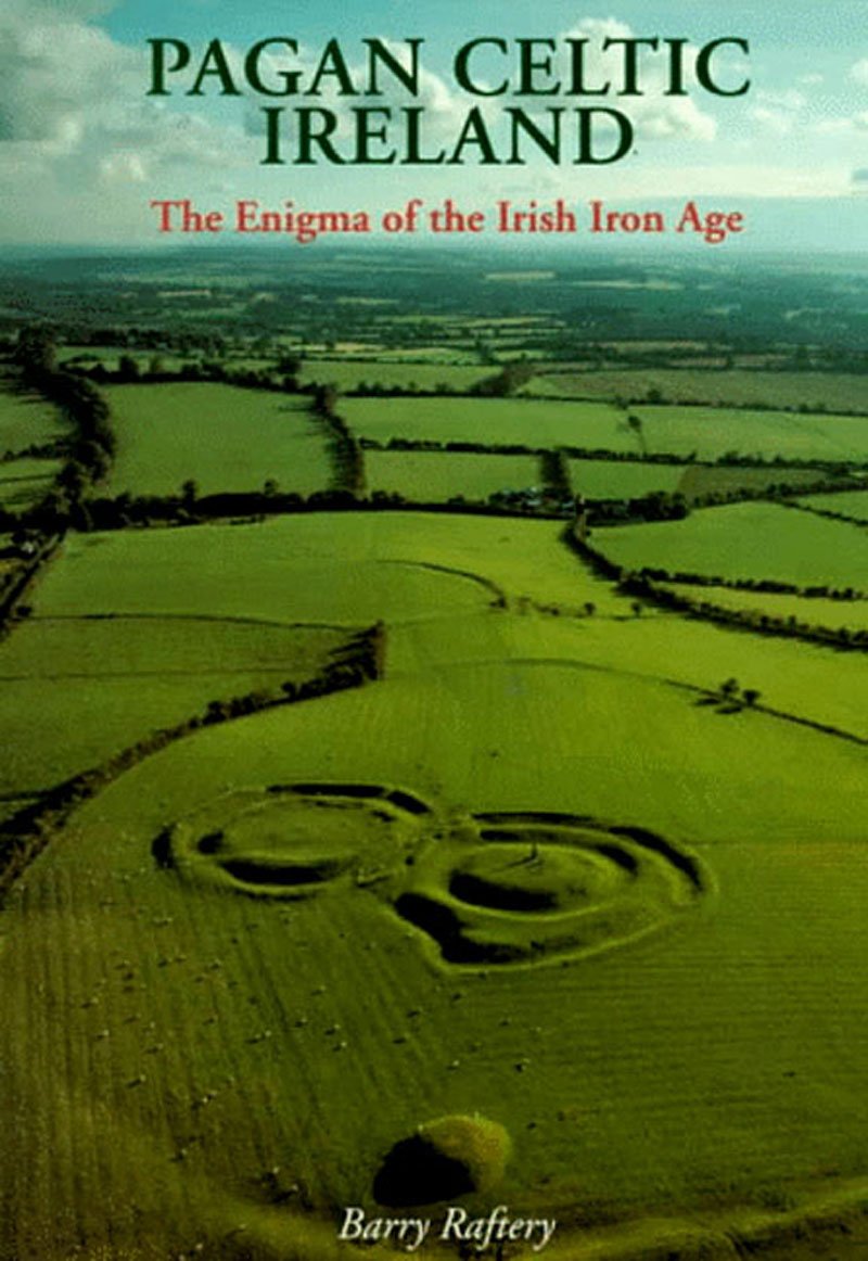 Pagan Celtic Ireland: The Enigma of the Irish Iron Age,Used