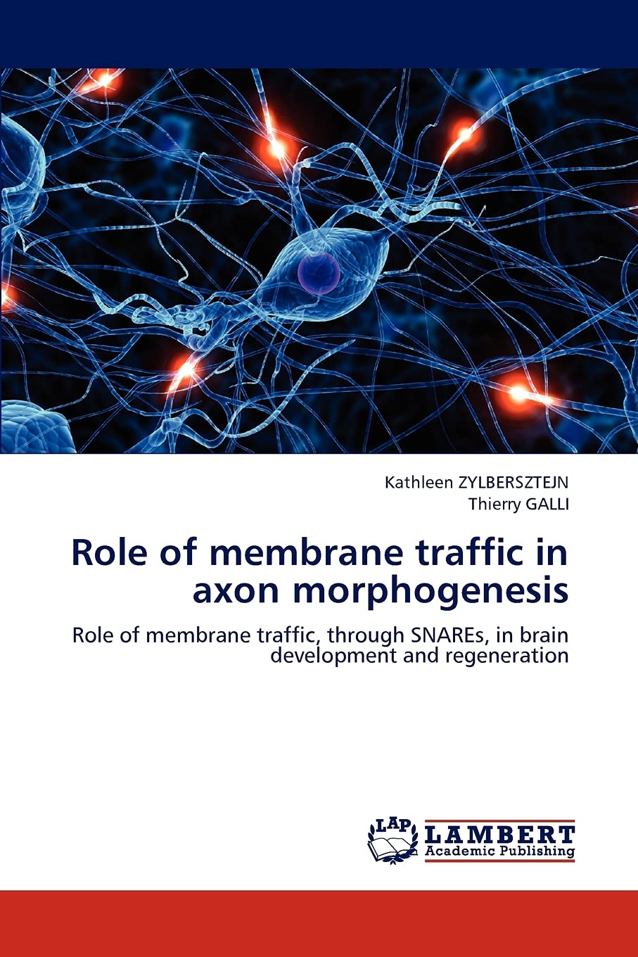 Role of membrane traffic in axon morphogenesis: Role of membrane traffic, through SNAREs, in brain development and regeneration,Used