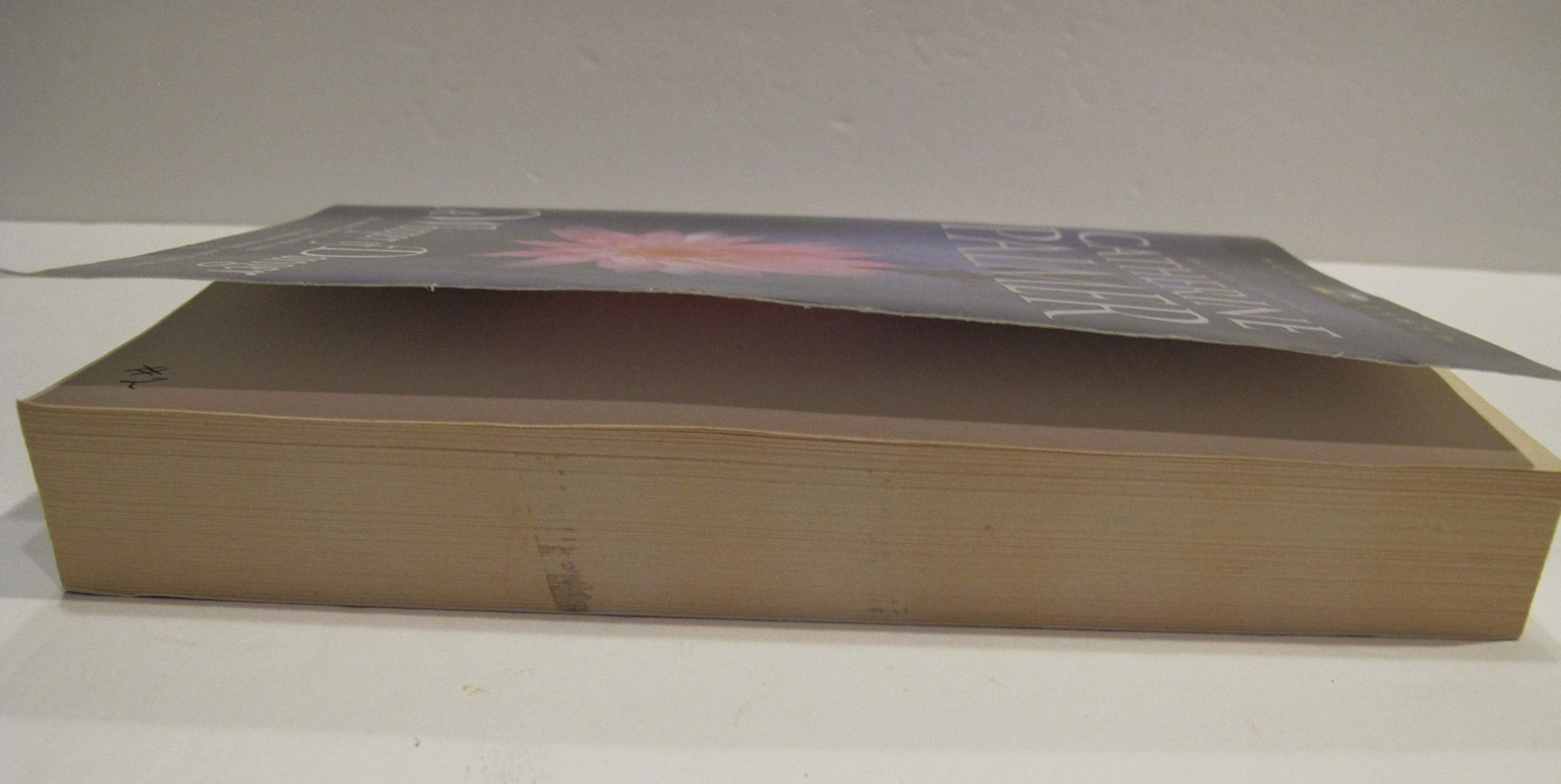 A Whisper Of Danger: Treasures Of The Heart #2 (Heartquest),Used