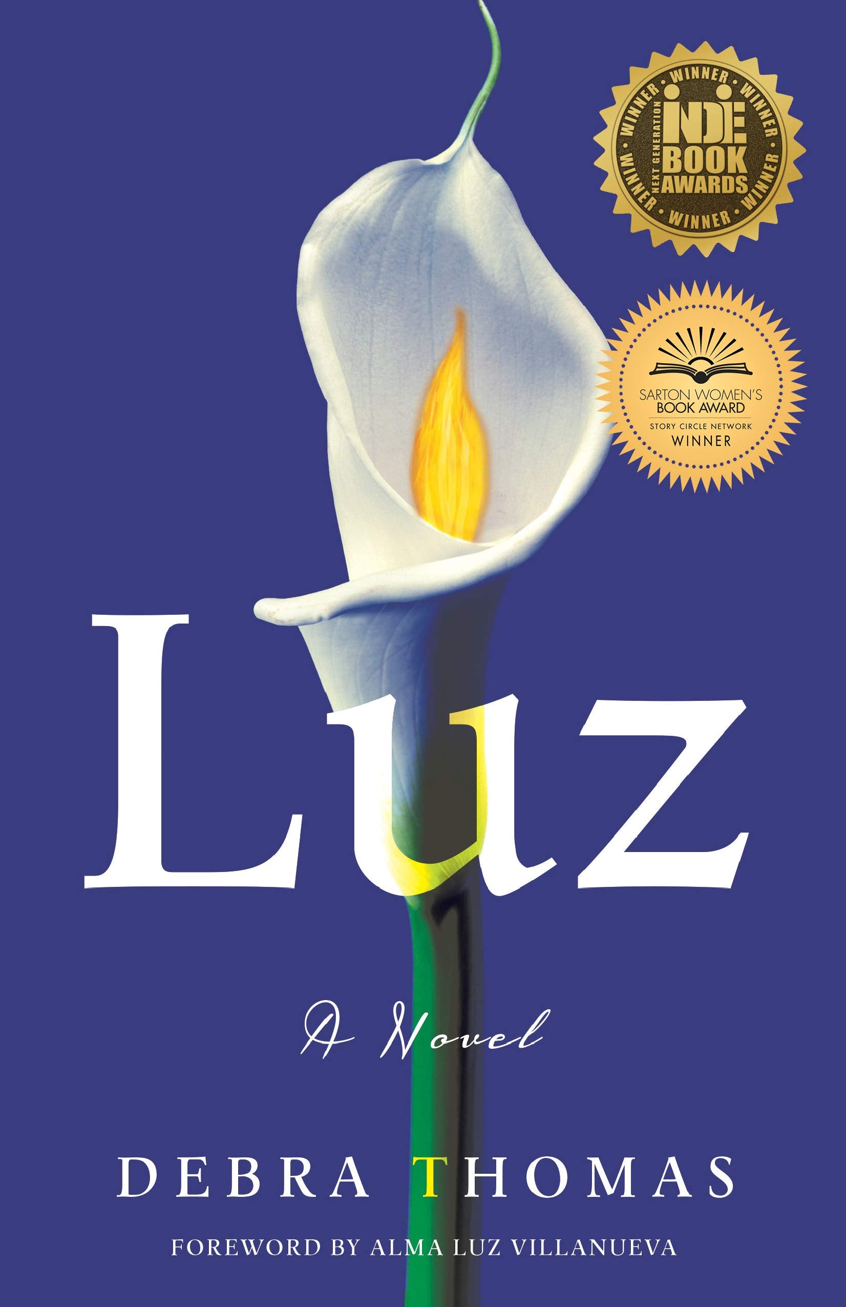 Luz: A Novel,Used