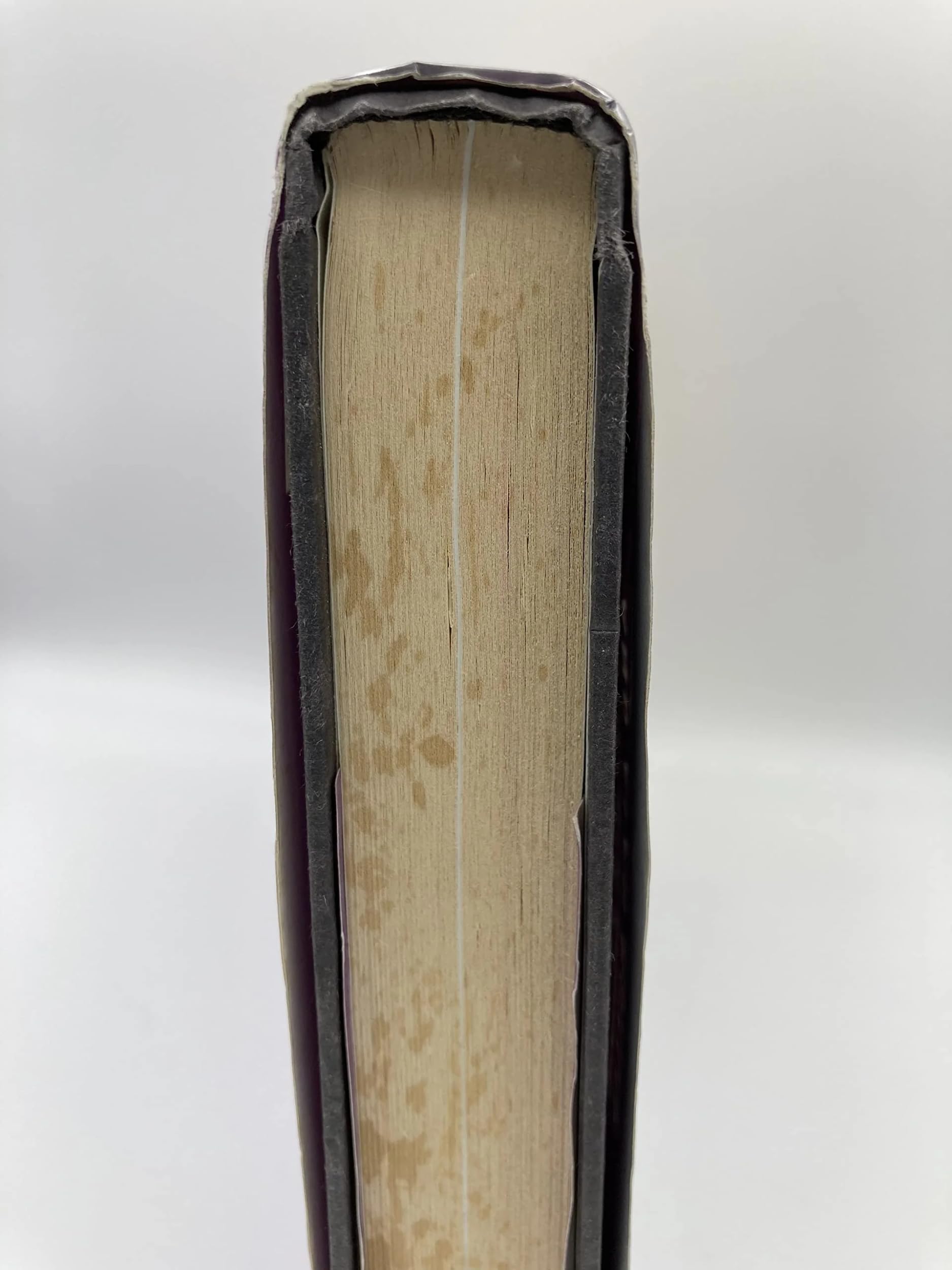 Solomon's Power Brokers: The Secrets of Fremasonry, the Church, and the Illuminati,New