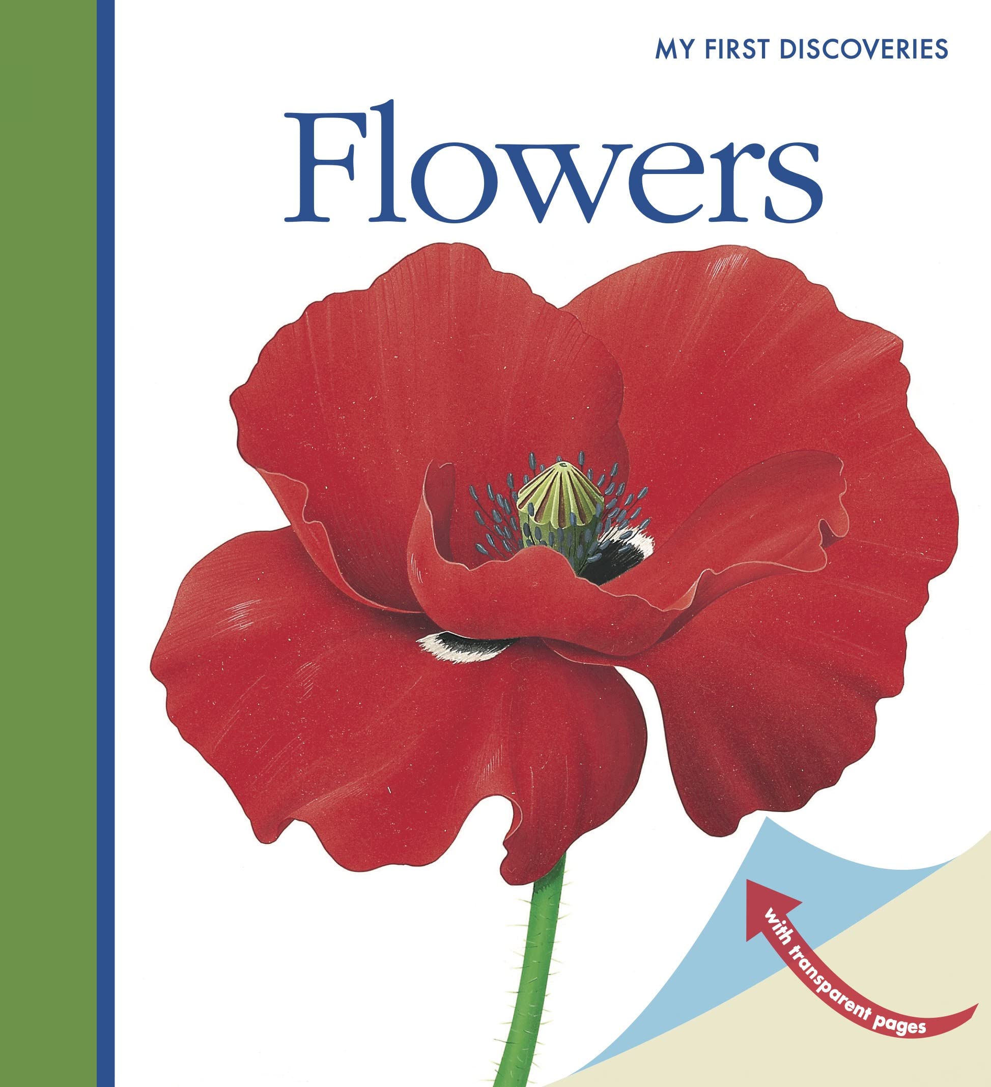 Flowers (6) (First Discovery Series),Used