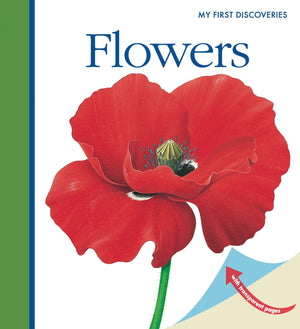 Flowers (6) (First Discovery Series),Used