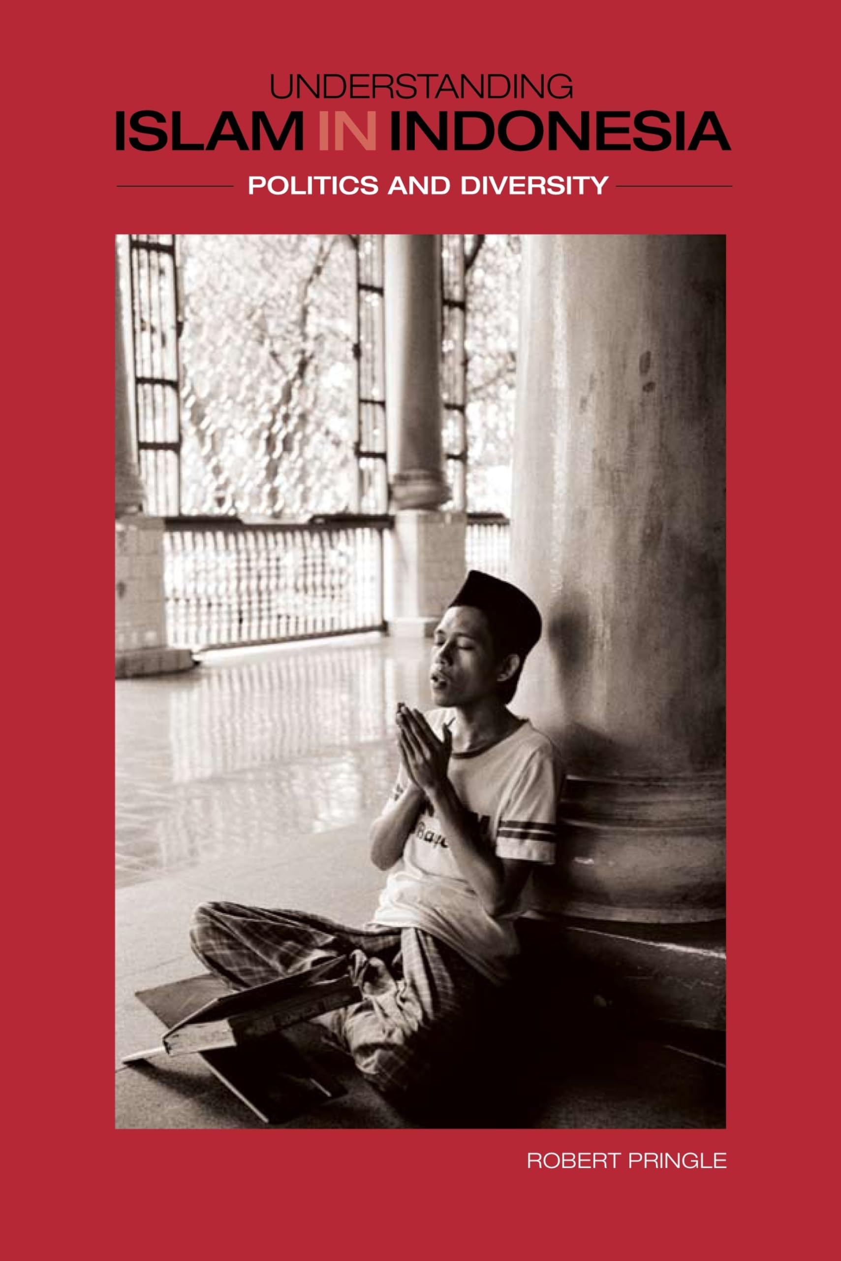 Understanding Islam in Indonesia: Politics and Diversity,Used