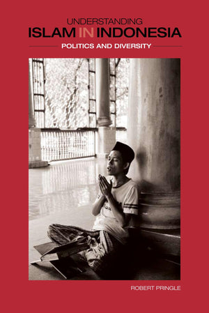Understanding Islam in Indonesia: Politics and Diversity,Used