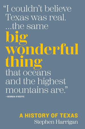 Big Wonderful Thing: A History of Texas (The Texas Bookshelf),Used