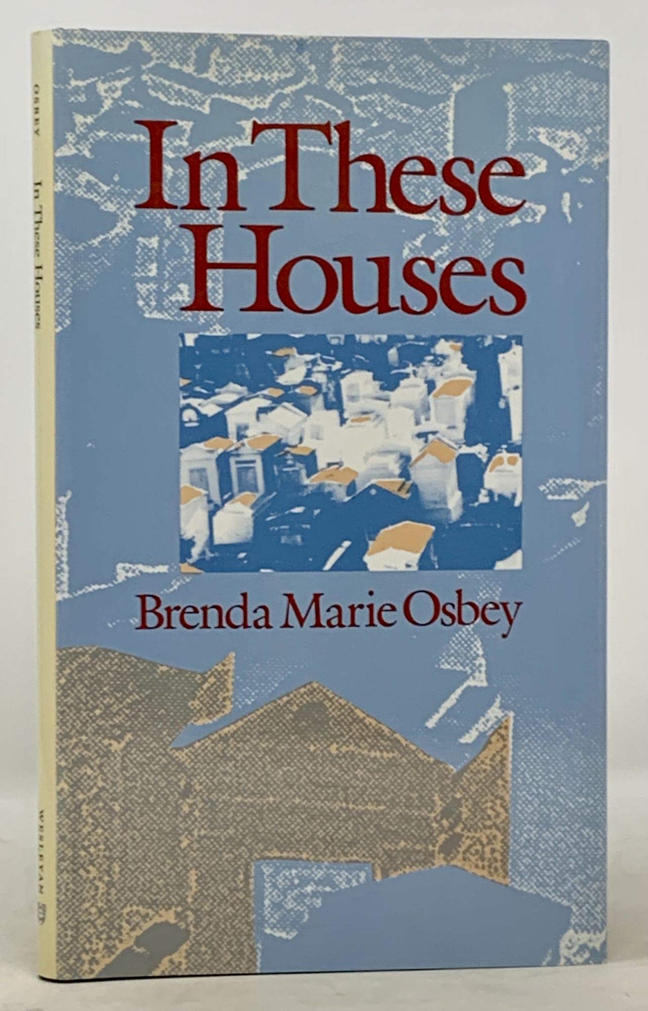 In These Houses (Wesleyan Poetry Series),New