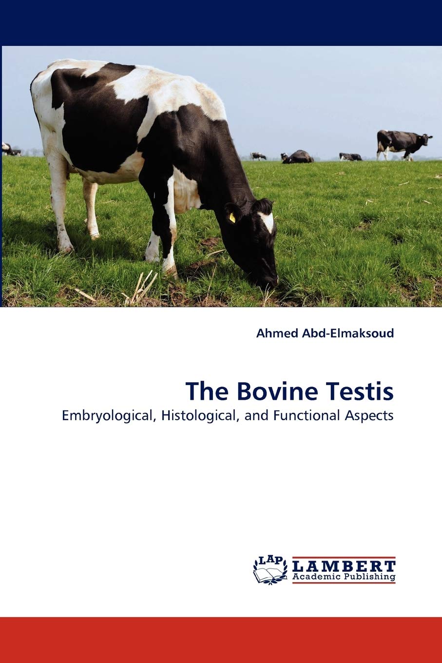 The Bovine Testis: Embryological, Histological, and Functional Aspects,Used