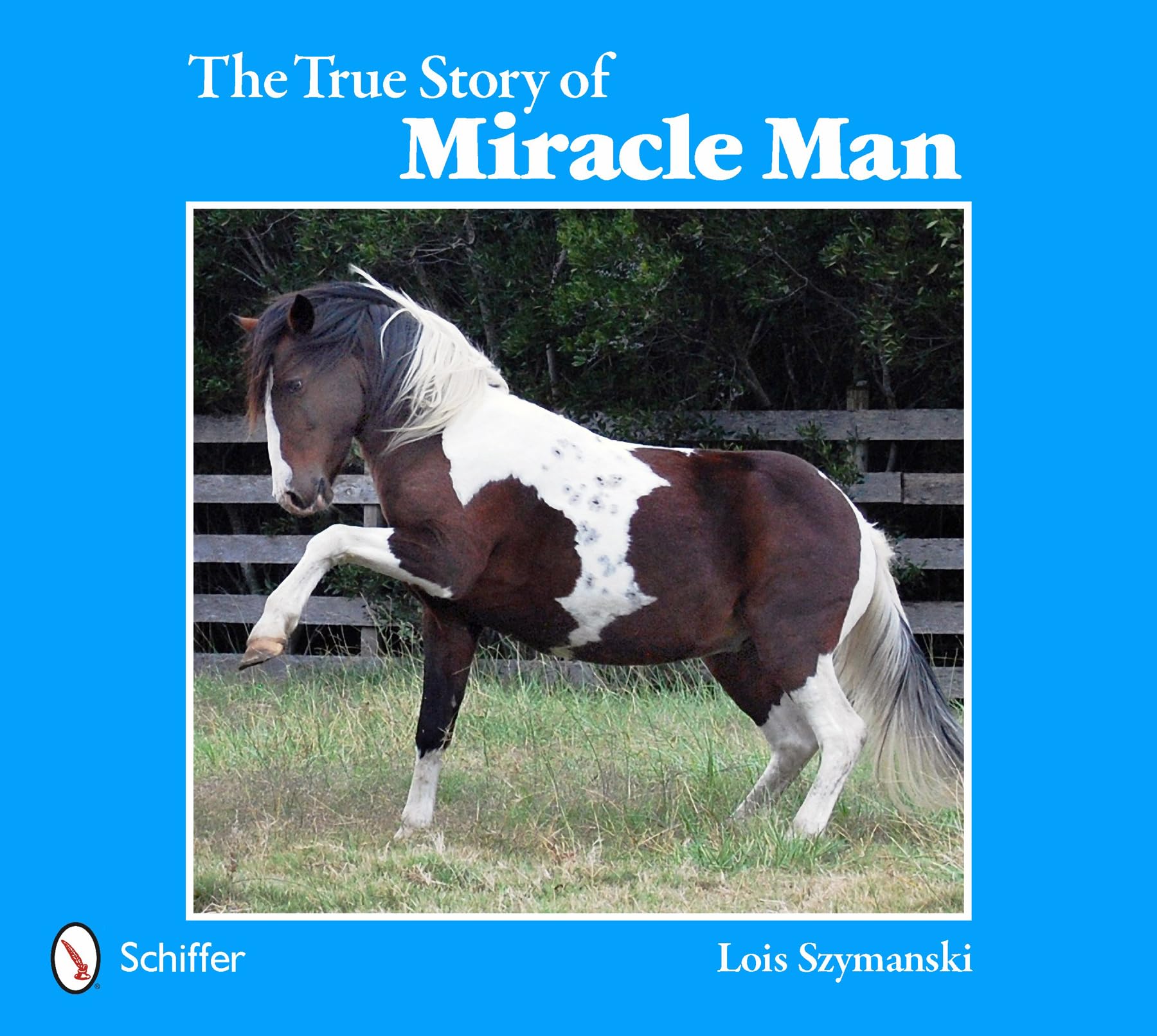 The True Story of Miracle Man,Used
