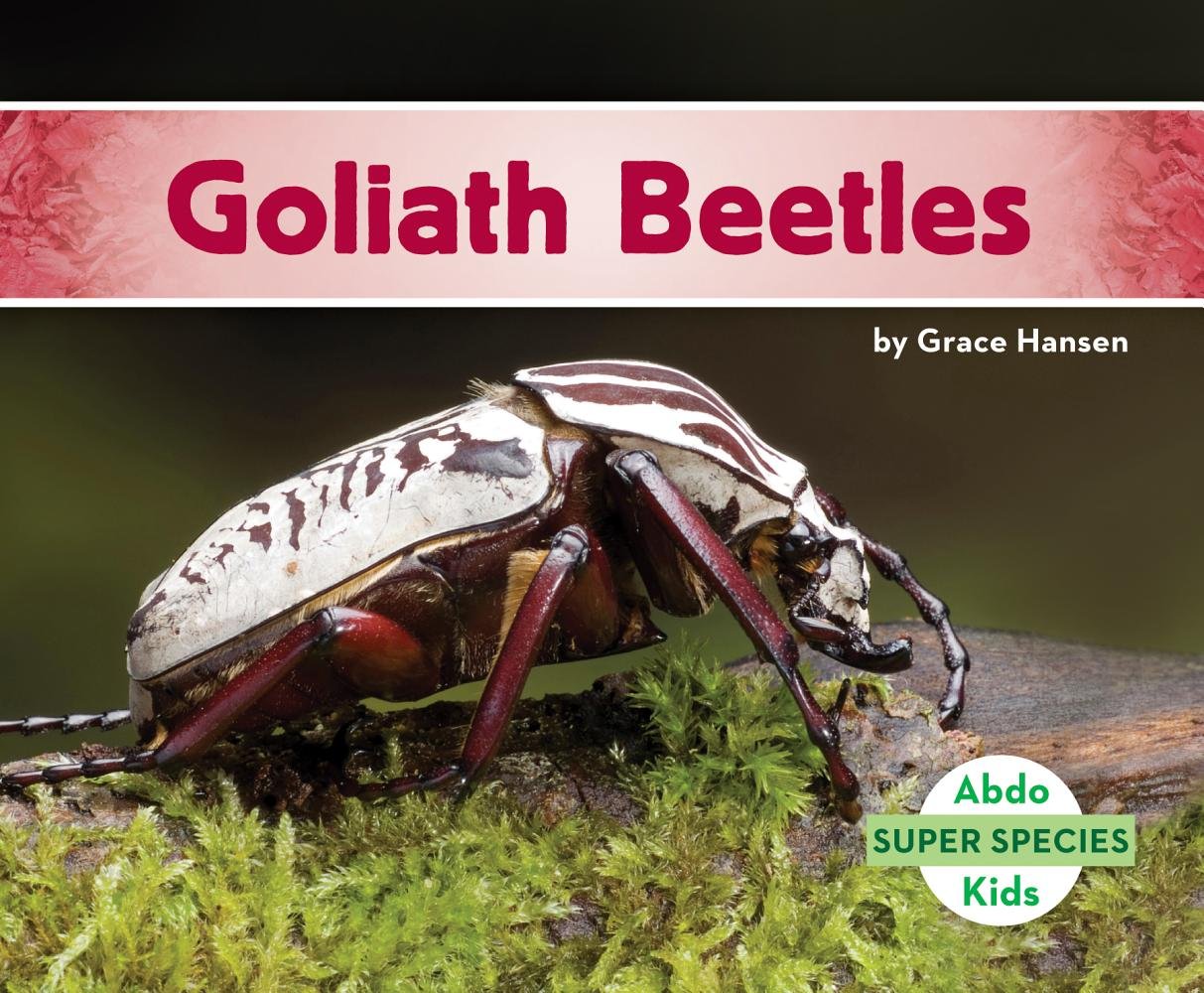 Goliath Beetles (Super Species),Used