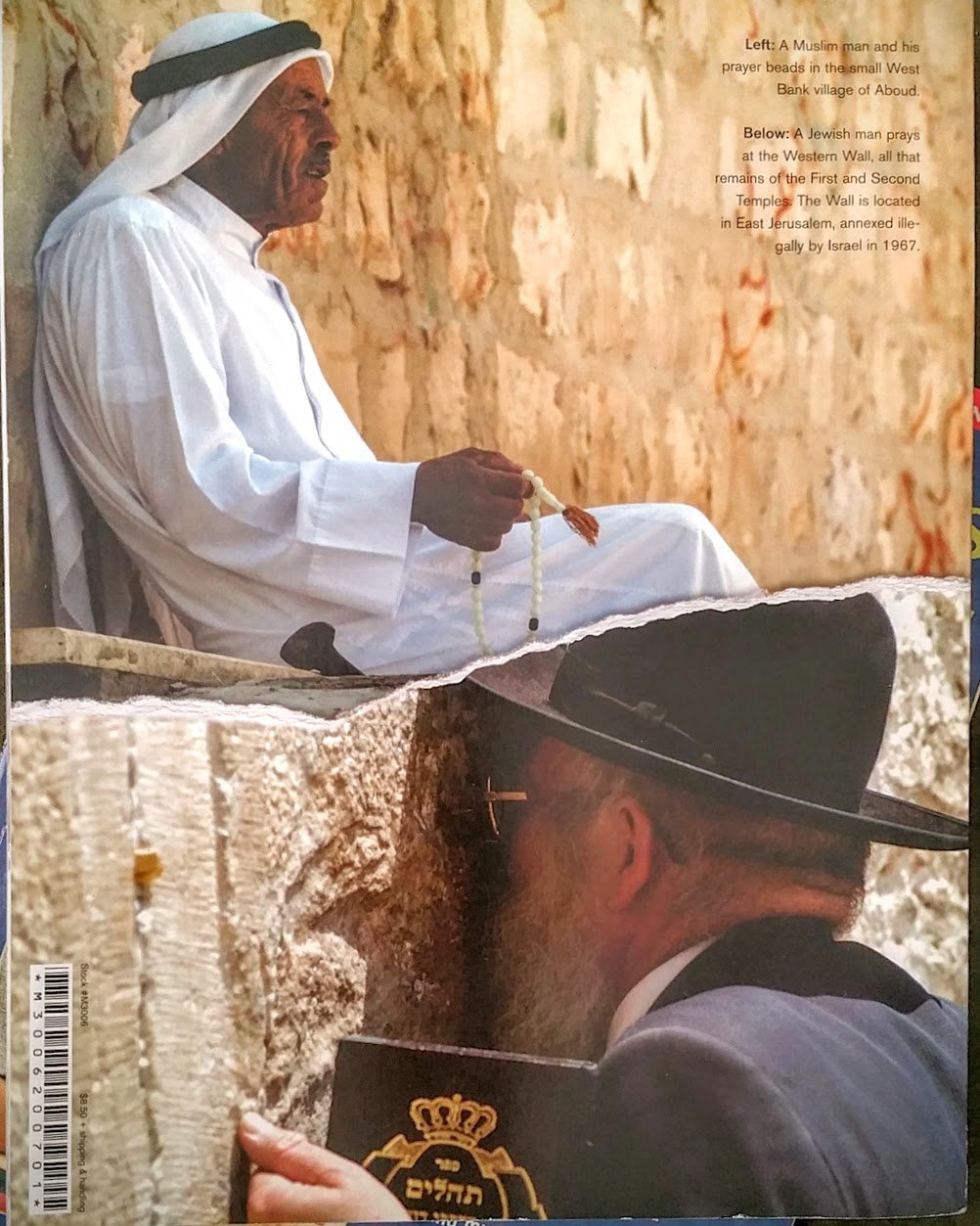 IsraelPalestine: Mission Study for 20072008: Study Guide,Used