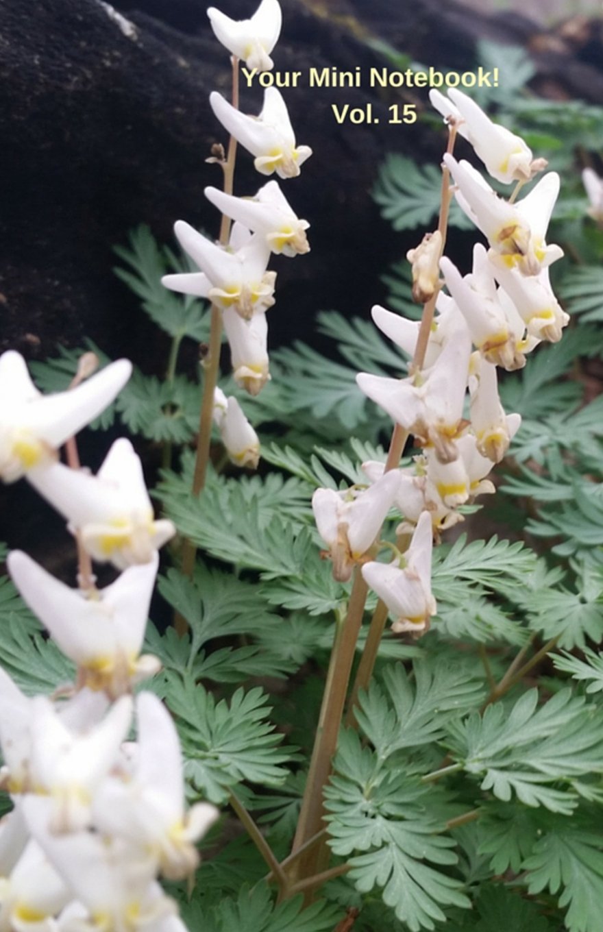Your Mini Notebook! Vol. 15: Dutchman's Breeches! A pretty pair of pantaloons hanging on a clothesline..,Used