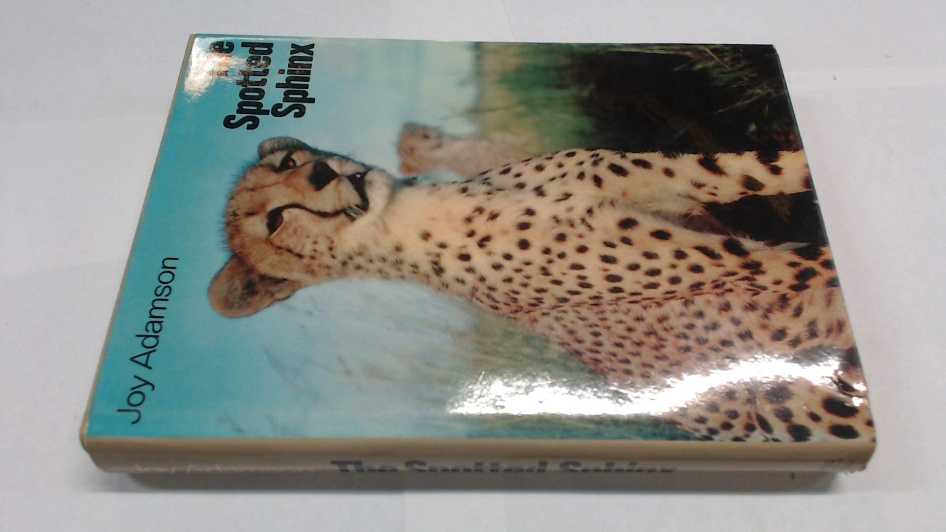 The Spotted Sphinx-used