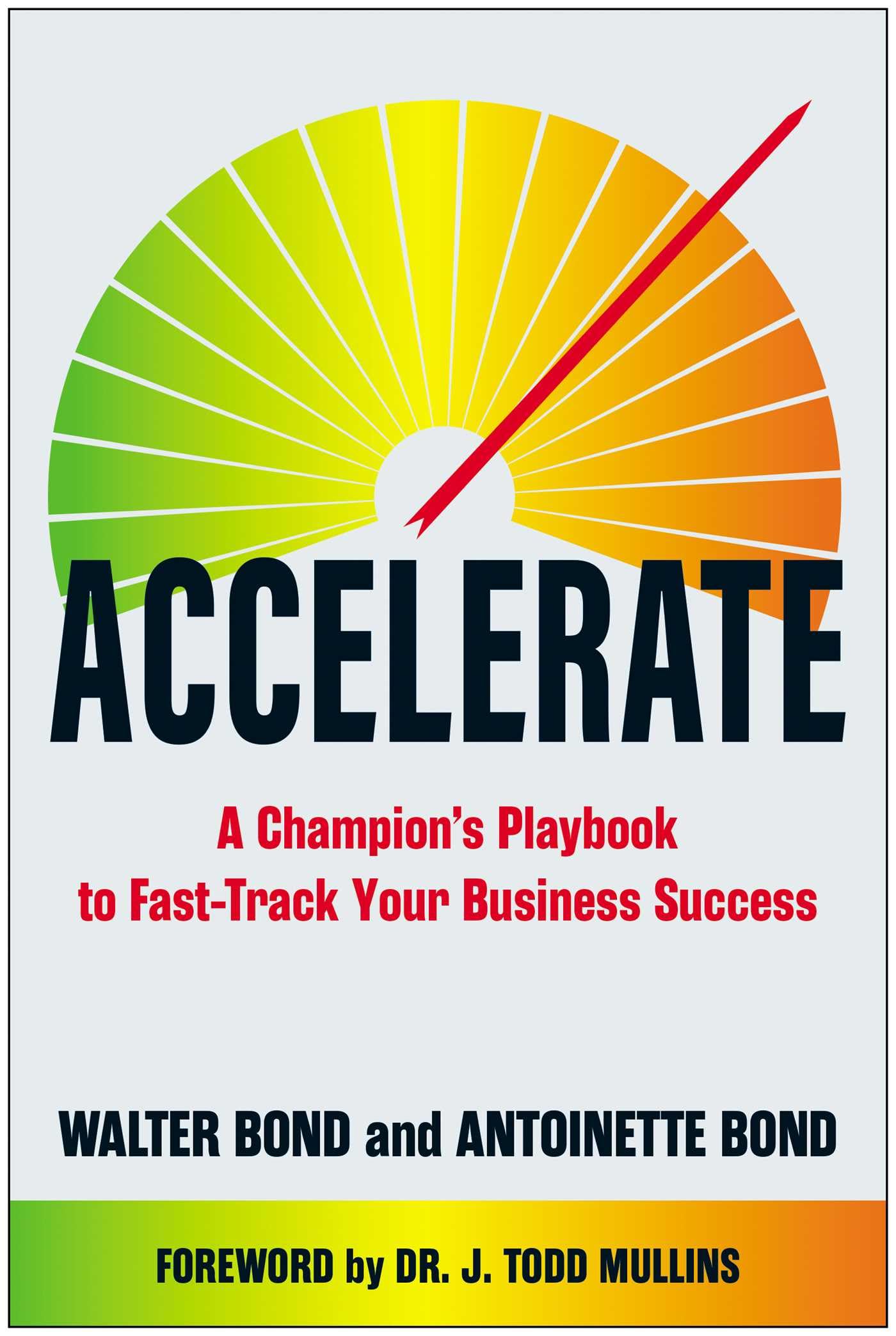 Accelerate: A ChampionS Playbook To FastTrack Your Business Success