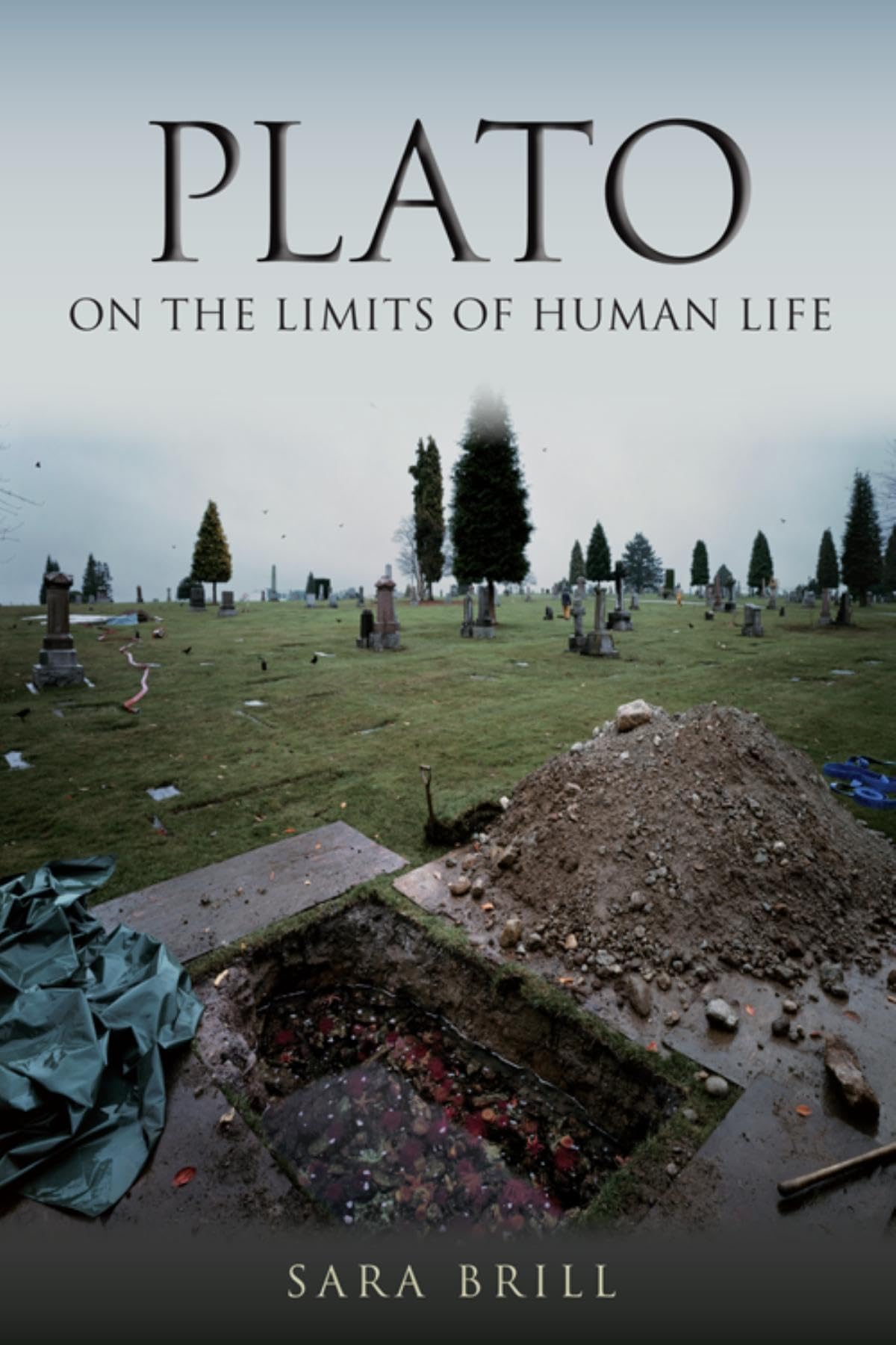 Plato on the Limits of Human Life (Studies in Continental Thought),Used