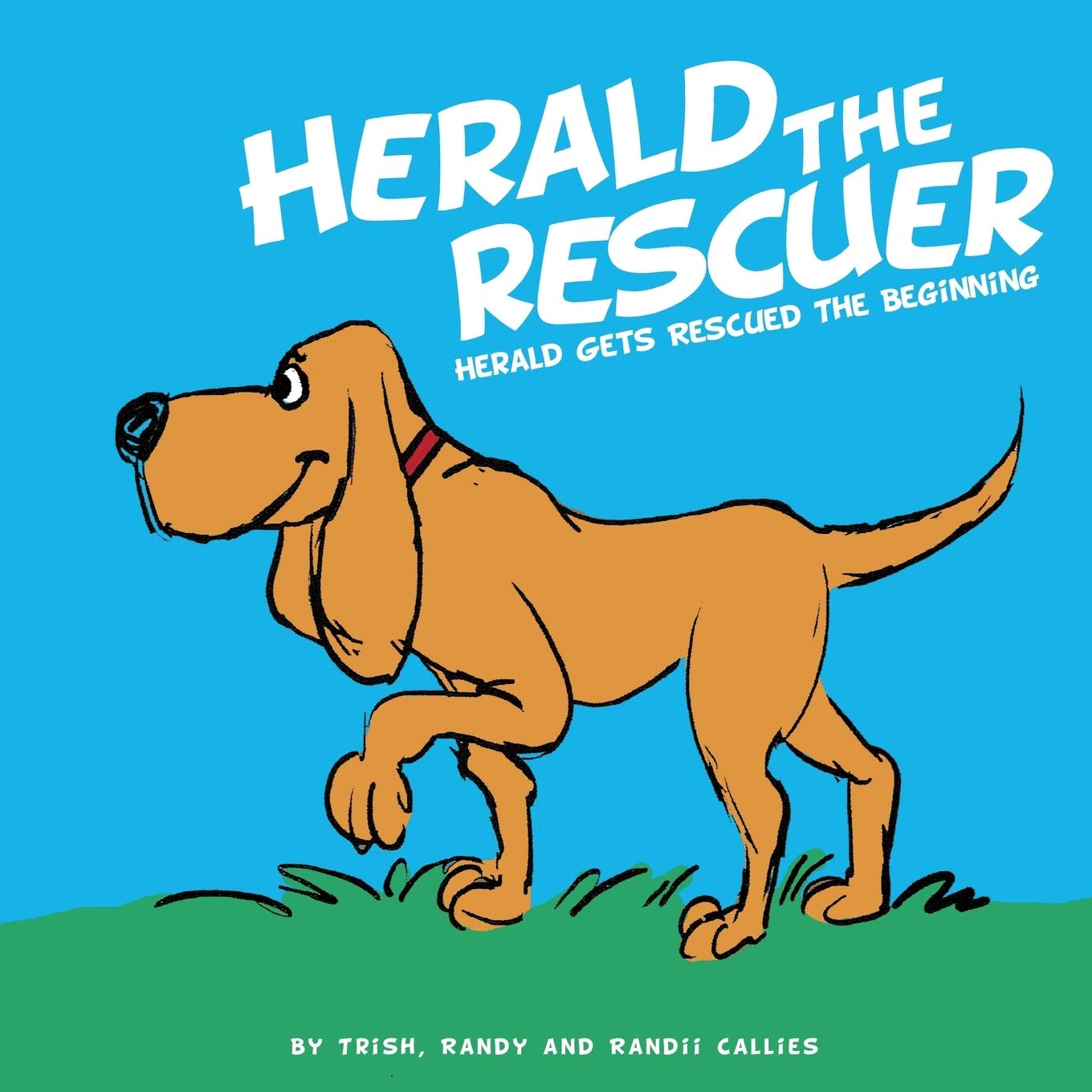 Herald The Rescuer,Used