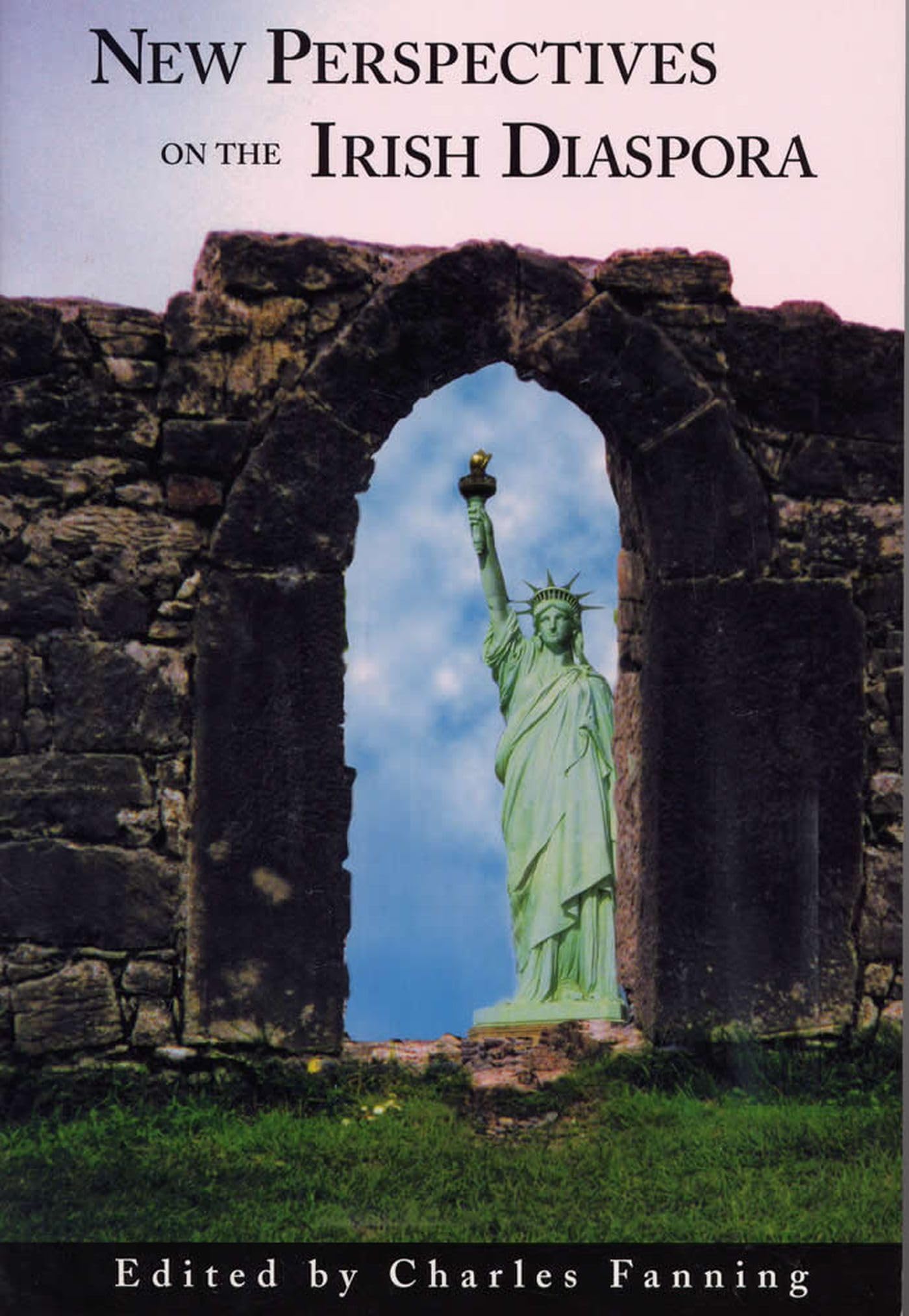 New Perspectives on the Irish Diaspora,New