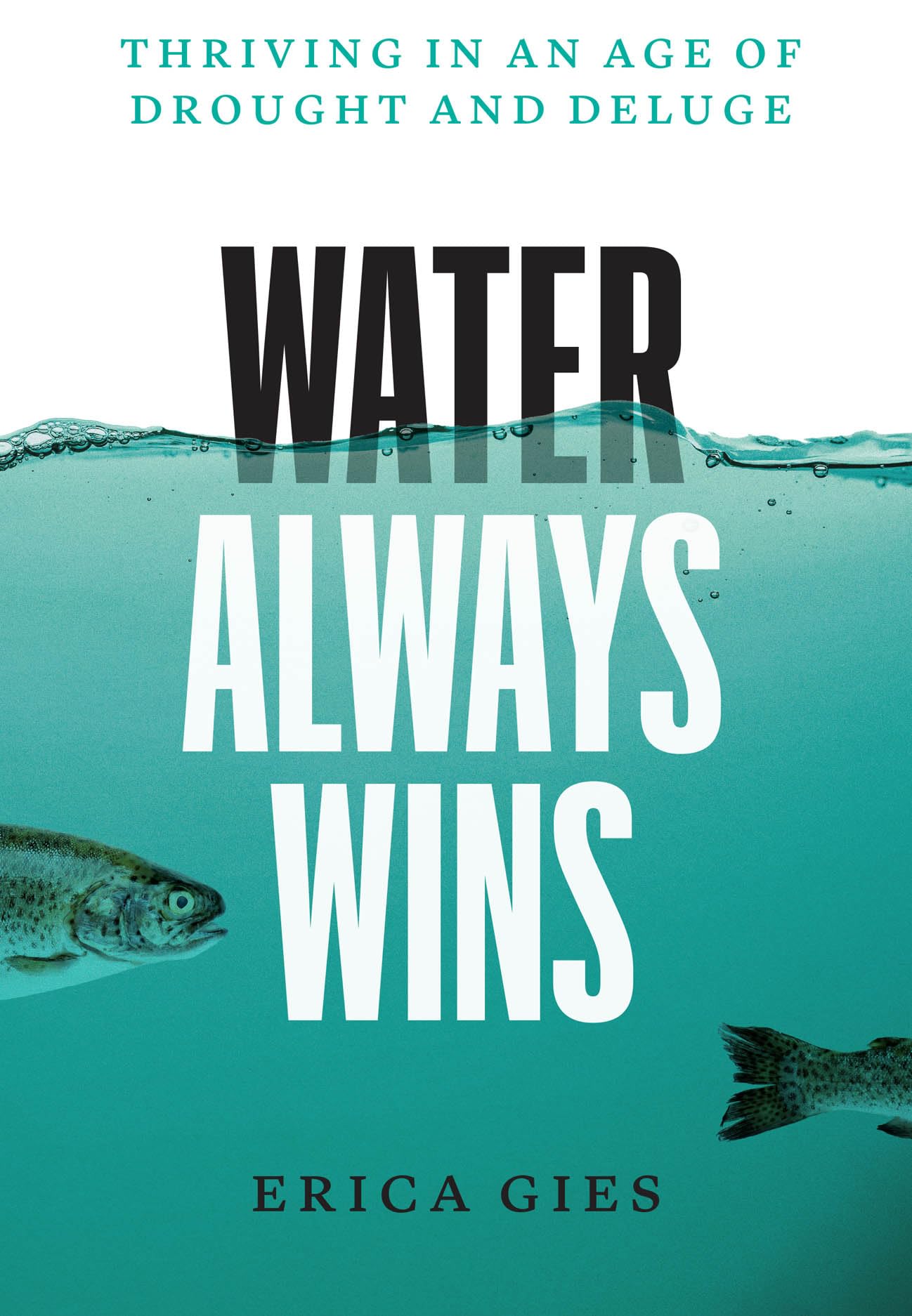 Water Always Wins: Thriving in an Age of Drought and Deluge,Used