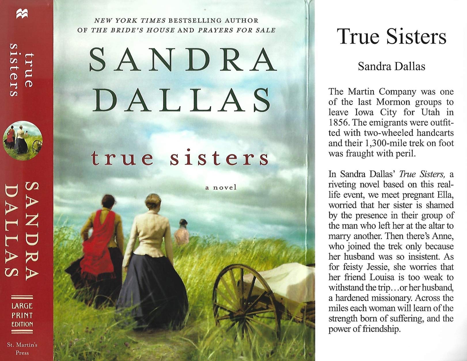 True Sisters (Center Point Large print Edition),Used