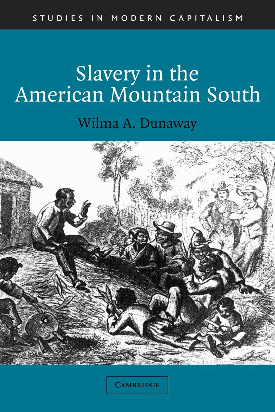 Slavery In The American Mountain South (Studies In Modern Capitalism),New